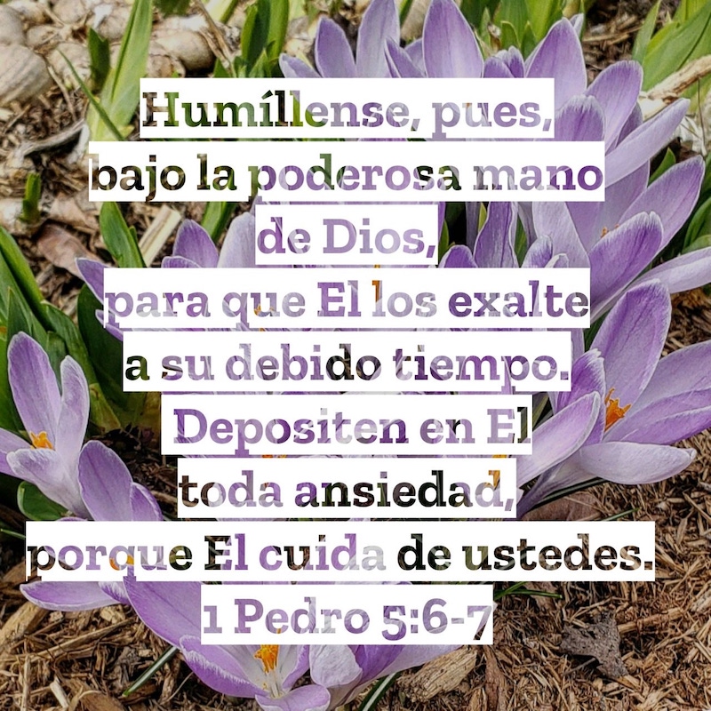1 Pedro 5:6-7